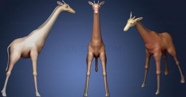 3D model Giraffe163 (STL)